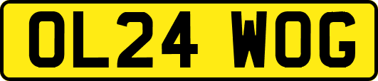 OL24WOG