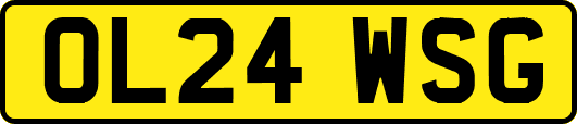 OL24WSG