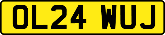 OL24WUJ
