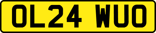 OL24WUO