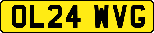 OL24WVG
