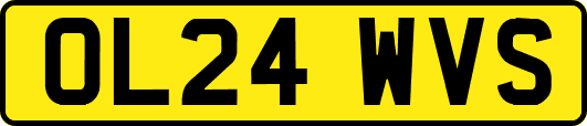 OL24WVS