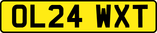 OL24WXT