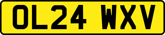 OL24WXV