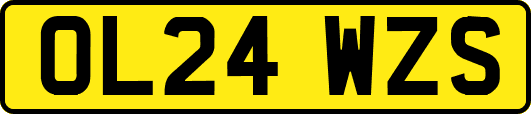 OL24WZS