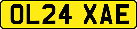 OL24XAE