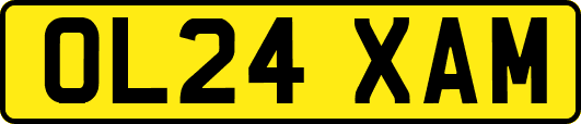 OL24XAM