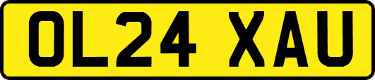OL24XAU