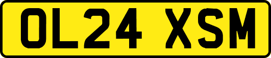 OL24XSM