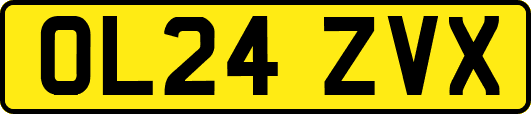 OL24ZVX