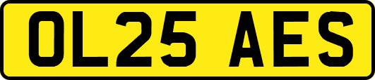 OL25AES