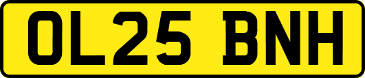 OL25BNH