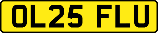 OL25FLU