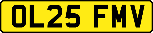 OL25FMV