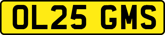 OL25GMS