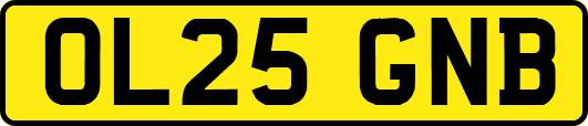 OL25GNB