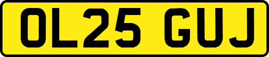 OL25GUJ