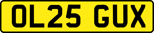 OL25GUX