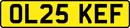 OL25KEF