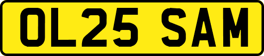 OL25SAM