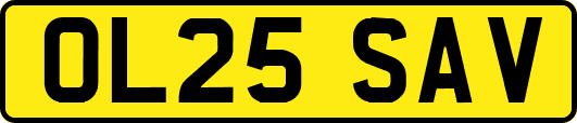 OL25SAV