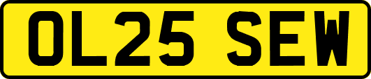 OL25SEW