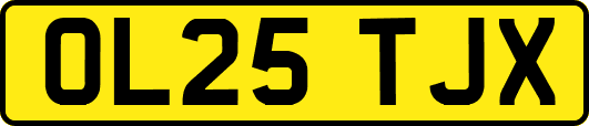 OL25TJX