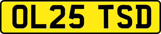 OL25TSD