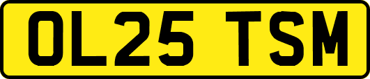 OL25TSM