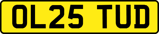 OL25TUD