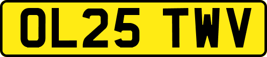 OL25TWV