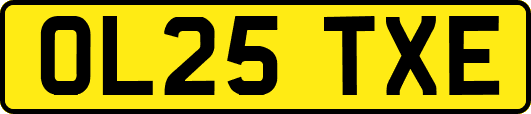 OL25TXE