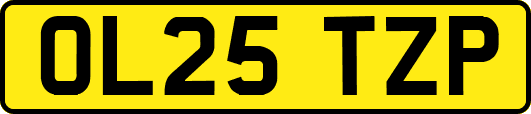 OL25TZP