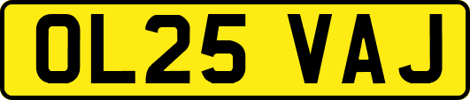 OL25VAJ