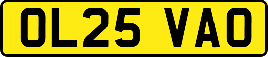OL25VAO