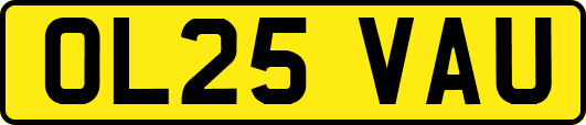 OL25VAU