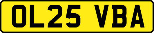 OL25VBA