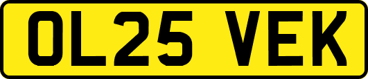 OL25VEK