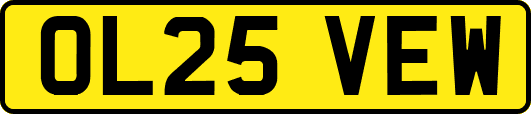 OL25VEW