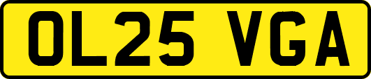 OL25VGA
