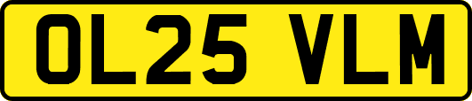OL25VLM