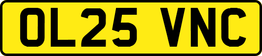 OL25VNC