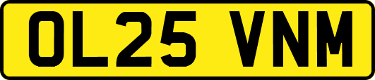 OL25VNM