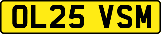 OL25VSM