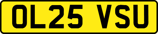 OL25VSU