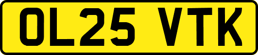OL25VTK