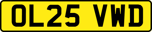 OL25VWD