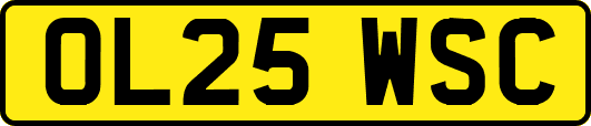 OL25WSC