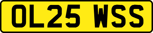 OL25WSS