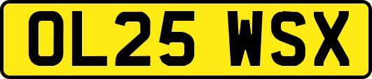 OL25WSX